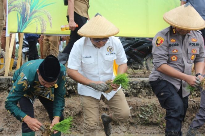 
 Hari Tani Nasional, Jaelani Dorong Pemerintah Siapkan Peta Jalan Pertanian Indonesia