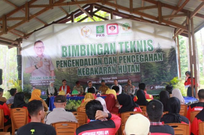 
 Jaelani : Hutan Wisata Pinus Samparona Baubau Harus Dijaga Bersama